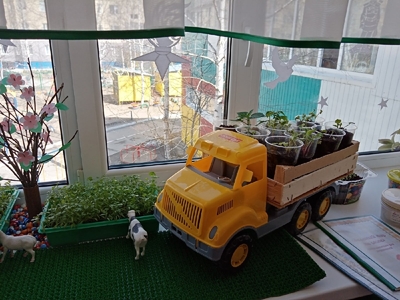 Огород на окне 